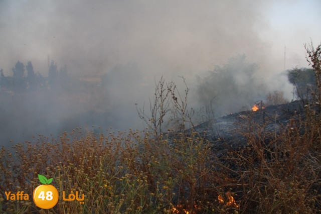 fireina7rashyaffa505 (7).JPG